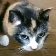 Mu-cloの画像