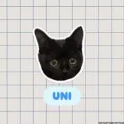 UNIの画像