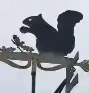 まめすけの画像