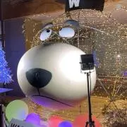 veloの画像