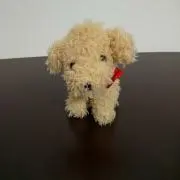 風太郎ママ ☆☆断捨離中☆☆