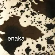 enakaの画像