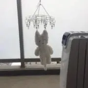 にの【匿名配送】の画像