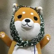 豆ちゃんの画像