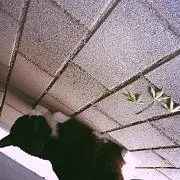 ぬぬぬ