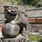 shin