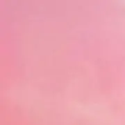 y.の画像