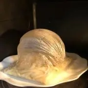 まるまる@