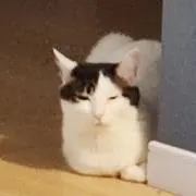 ☻