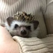 すぅ