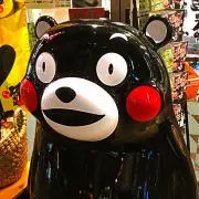 ぷろぱの画像