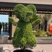 rabbitの画像