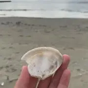 ままんさ