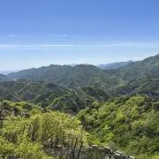 syakiの画像