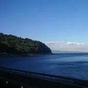 ウイスキー