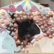 マキナラブ♡