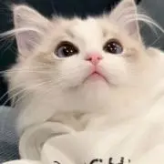♡の画像