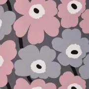 ごまあざらしの画像