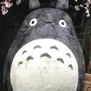 ニラ