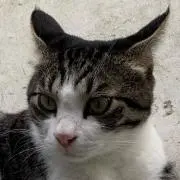 アフロマン