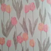 kirazzの画像