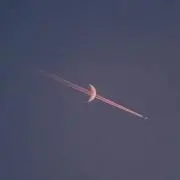 おもち
