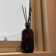 てんの画像