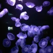 さとと☆