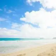 shoの画像