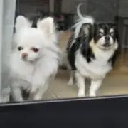ちーママ