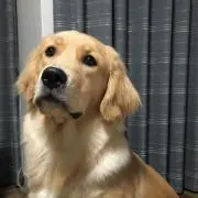 ゆう