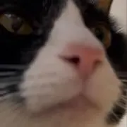 なの画像