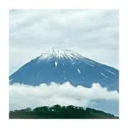 よしおさんの画像