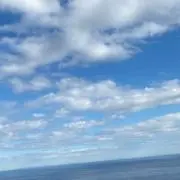 mikyuの画像