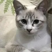 みっちゃん