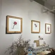 run/プロフ必読の画像