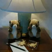 Tanuぴょんの画像