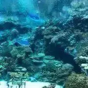 身の回り整理整頓中⭐︎ＪiＪの画像