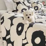 パンナコッタ！の画像