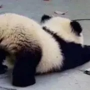 りんごりんご