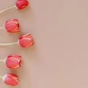 naaakaaaの画像