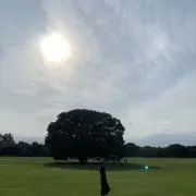うぱお