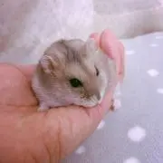 とも