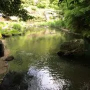 まーくん