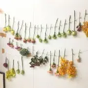 ka♡の画像