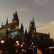 せいかの画像
