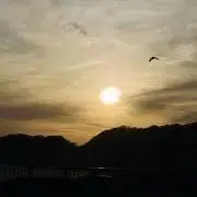 在庫処分