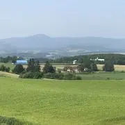 あっぷるみんとの画像