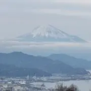 つーびーの画像