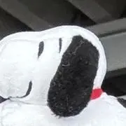 僕が見たかった青空　CD購入特典チケット風カード　直筆 宮腰友里亜 僕が見たかった青空 CD購入特典チケット風カード 直筆 宮腰友里亜
